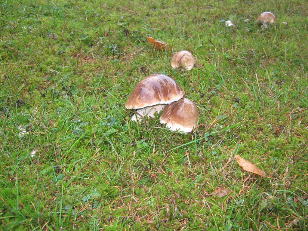 Penzion Pod Dobakom Lazisko Exterior foto